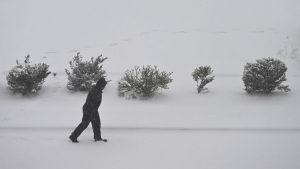 Read more about the article 100 Vehicles Involved In Snowy North Carolina Pileup – The Weather Channel