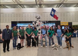 Read more about the article Picture of the week: Houston Airport trains future guide dogs in real travel environment – International Airport Review