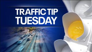 Read more about the article Traffic tip Tuesday: Florida license laws – FOX 13 Tampa Bay