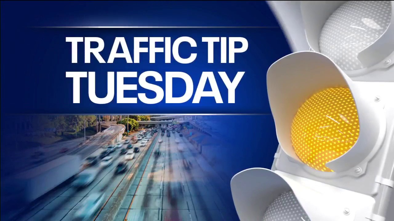 You are currently viewing Traffic tip Tuesday: Florida license laws – FOX 13 Tampa Bay