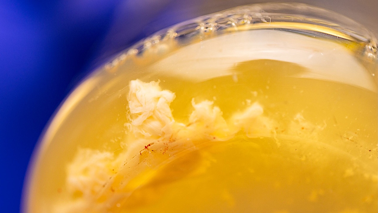 You are currently viewing Rethinking The Microbial Future of Space Travel – astrobiology.com