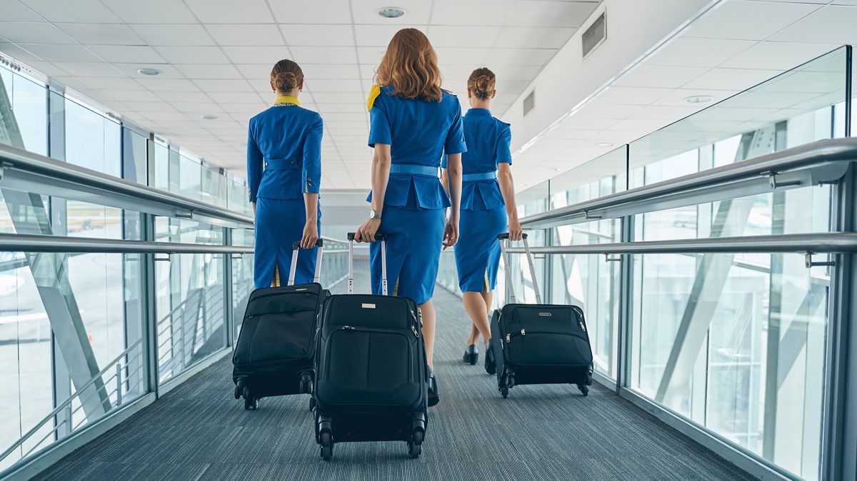 You are currently viewing 'I'm a flight attendant – 3 secret tips that every passenger should know' – The Mirror
