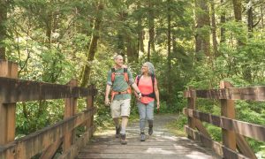 Read more about the article What to Know Before Getting Capital One Venture – NerdWallet