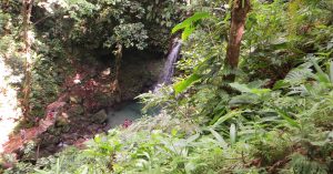 Read more about the article This Caribbean Island Has a Rainforest Pool With a Waterfall, Jungle Trails, and Emerald Water – Caribbean Journal