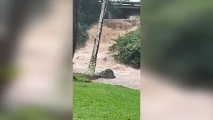 Read more about the article Los Angeles travelers coming back from Hawaii say rainfall, flooding is unlike anything they have experienced – ABC7 Los Angeles