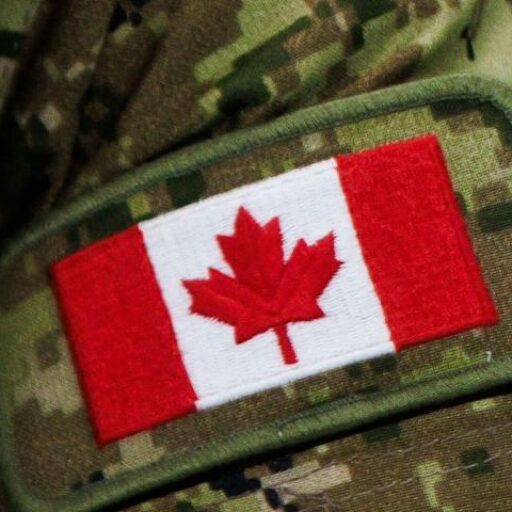 You are currently viewing Croisière: Cruise Industry Update: Royal Caribbean and Carnival Cancellations – infopetitenation.ca