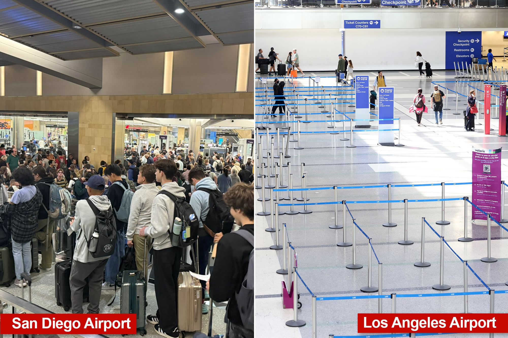 You are currently viewing TSA chaos hits California — as Gavin Newsom issues damning statement on ICE arrivals – New York Post