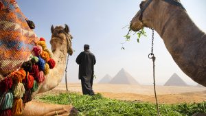 Read more about the article Is it safe to travel to Egypt right now? Latest advice – The Times