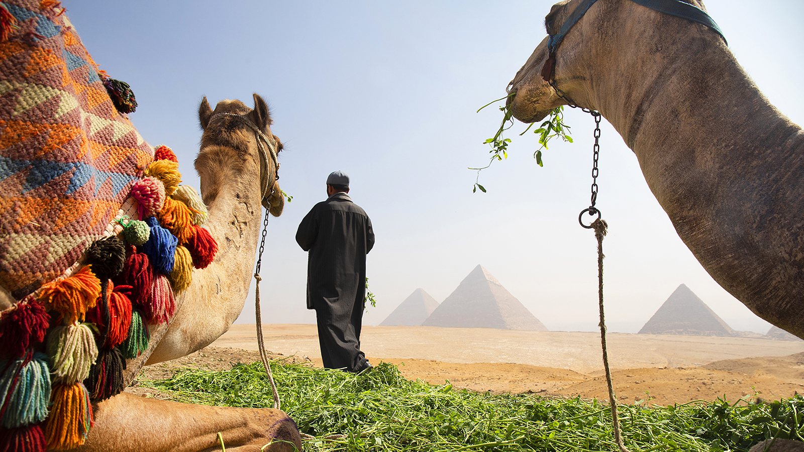 You are currently viewing Is it safe to travel to Egypt right now? Latest advice – The Times