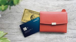 Read more about the article Capital One Venture X Business Card vs. Amex Business Gold Card [Detailed Comparison] – Upgraded Points