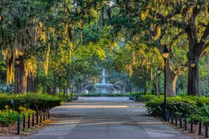 Read more about the article Skipping Mexico This Spring? These 10 US Destinations Are Worth the Trip – TravelPirates