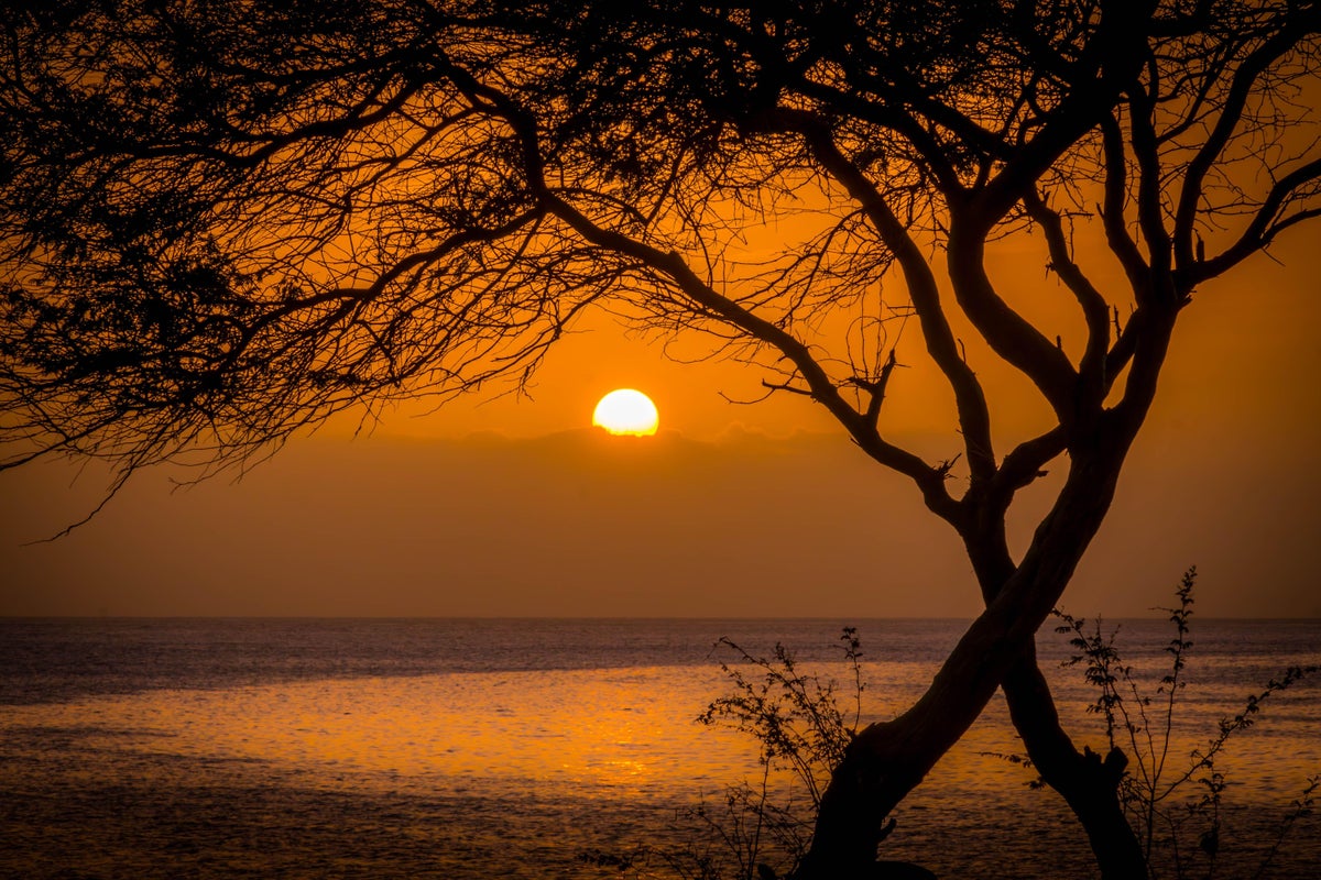 You are currently viewing How to save money on your summer travel this year, according to experts – The Independent