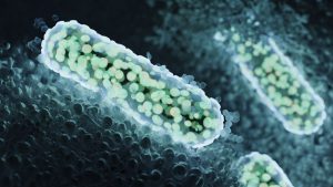 Read more about the article Big rise in 'fatal in hours' infection in travellers coming to UK from 4 destinations – The Mirror