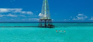 Read more about the article Family Adventures in the Florida Keys on Islamorada, by Travel Writers – Creators Syndicate