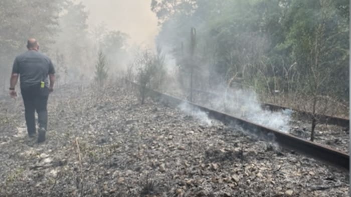 You are currently viewing Amtrak cancels Auto Train, Florida passenger trains amid Jacksonville-area brush fires – WKMG
