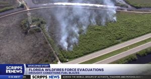 Read more about the article Fast-moving Florida, Georgia wildfires prompt evacuations, travel chaos – Scripps News