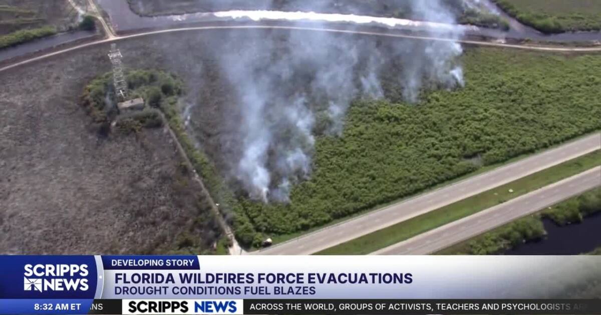 You are currently viewing Fast-moving Florida, Georgia wildfires prompt evacuations, travel chaos – Scripps News