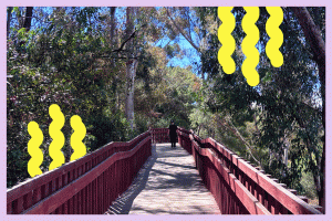 Read more about the article 3 L.A. hikes that are great for toddlers to teens (and kids at heart) – Los Angeles Times