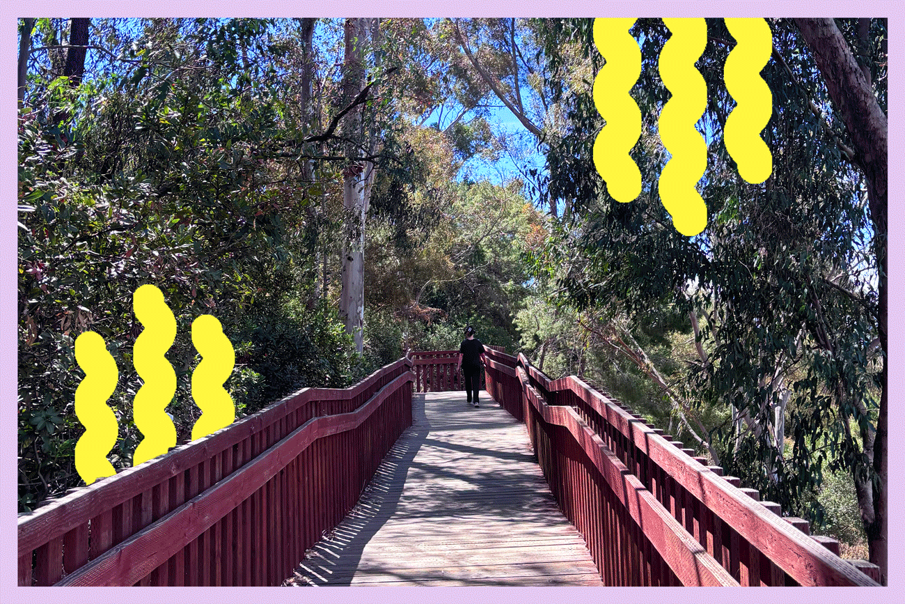 You are currently viewing 3 L.A. hikes that are great for toddlers to teens (and kids at heart) – Los Angeles Times