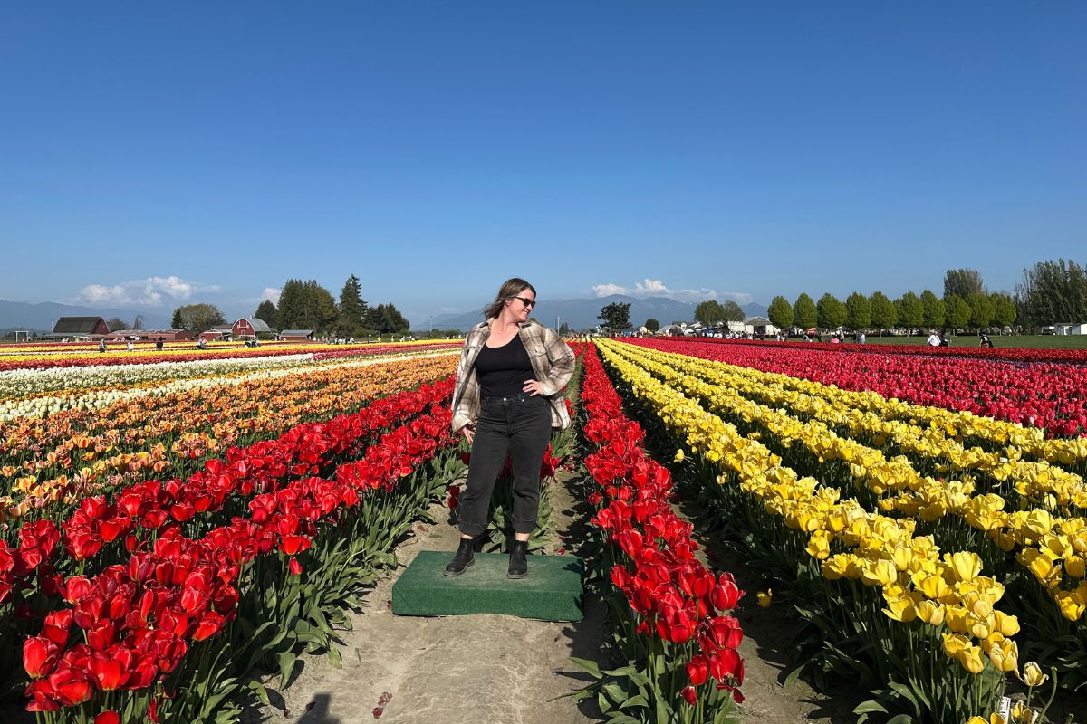 You are currently viewing Planning the Skagit Tulip Festival? Start With These Travel Tips – Skagit Valley Tulip Festival
