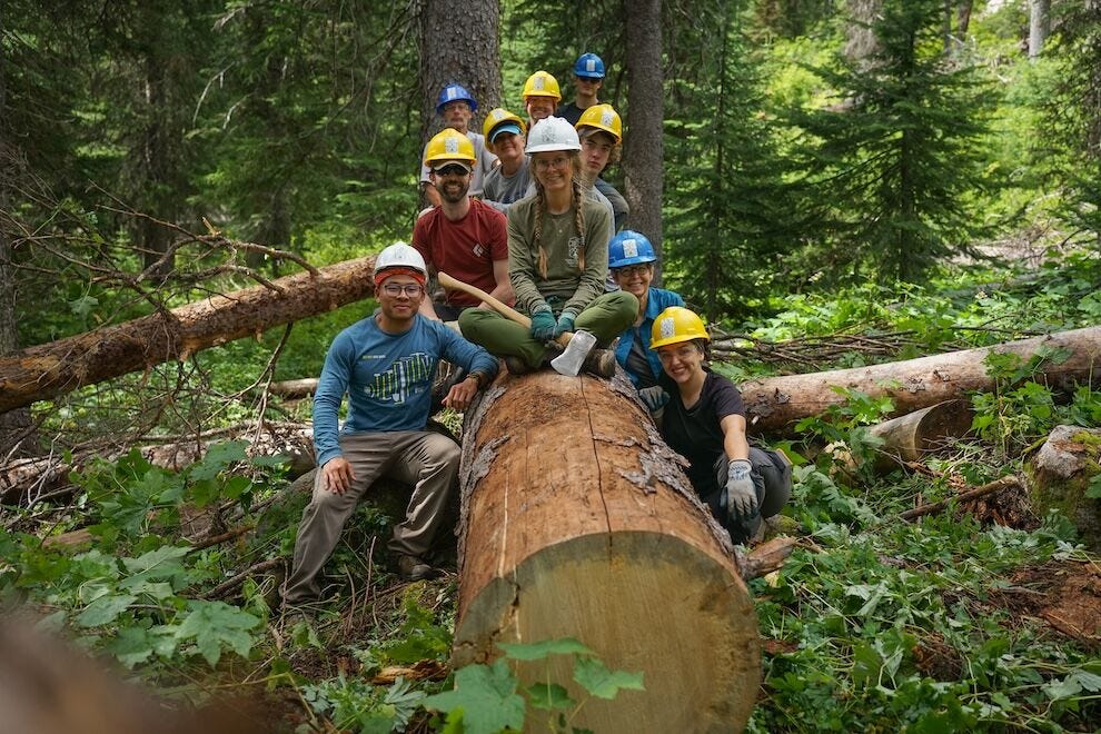 You are currently viewing 20 epic volunteer tourism ideas that highlight nature conservation – USA TODAY 10BEST
