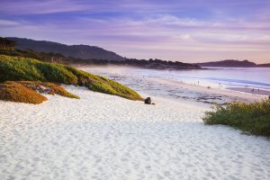 Read more about the article The Los Angeles Magazine Guide to California Roadtrips – LAmag