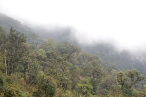 Read more about the article Weather forecast today May 17 for tourists exploring the Northwest – Laodong.vn