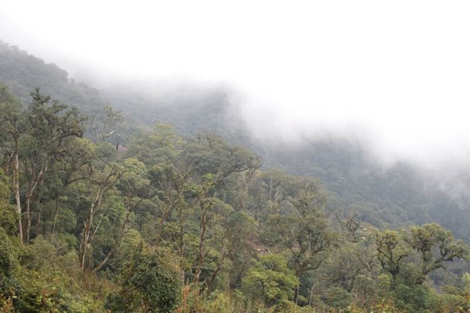 You are currently viewing Weather forecast today May 17 for tourists exploring the Northwest – Laodong.vn