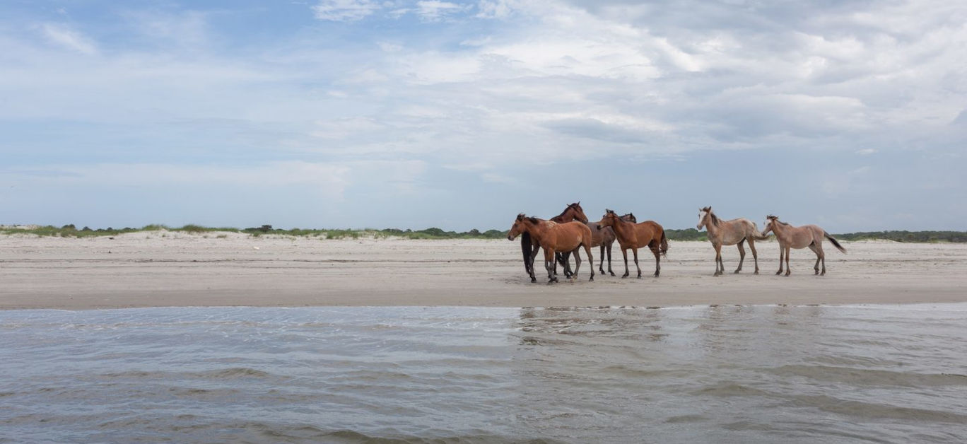 You are currently viewing Embracing the coastal charm of Amelia Island, Florida – Luxury Lifestyle Magazine