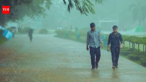 Read more about the article IMD warns of severe thunderstorms, hailstorms and travel disruptions across India; dust storms and hail i – The Times of India