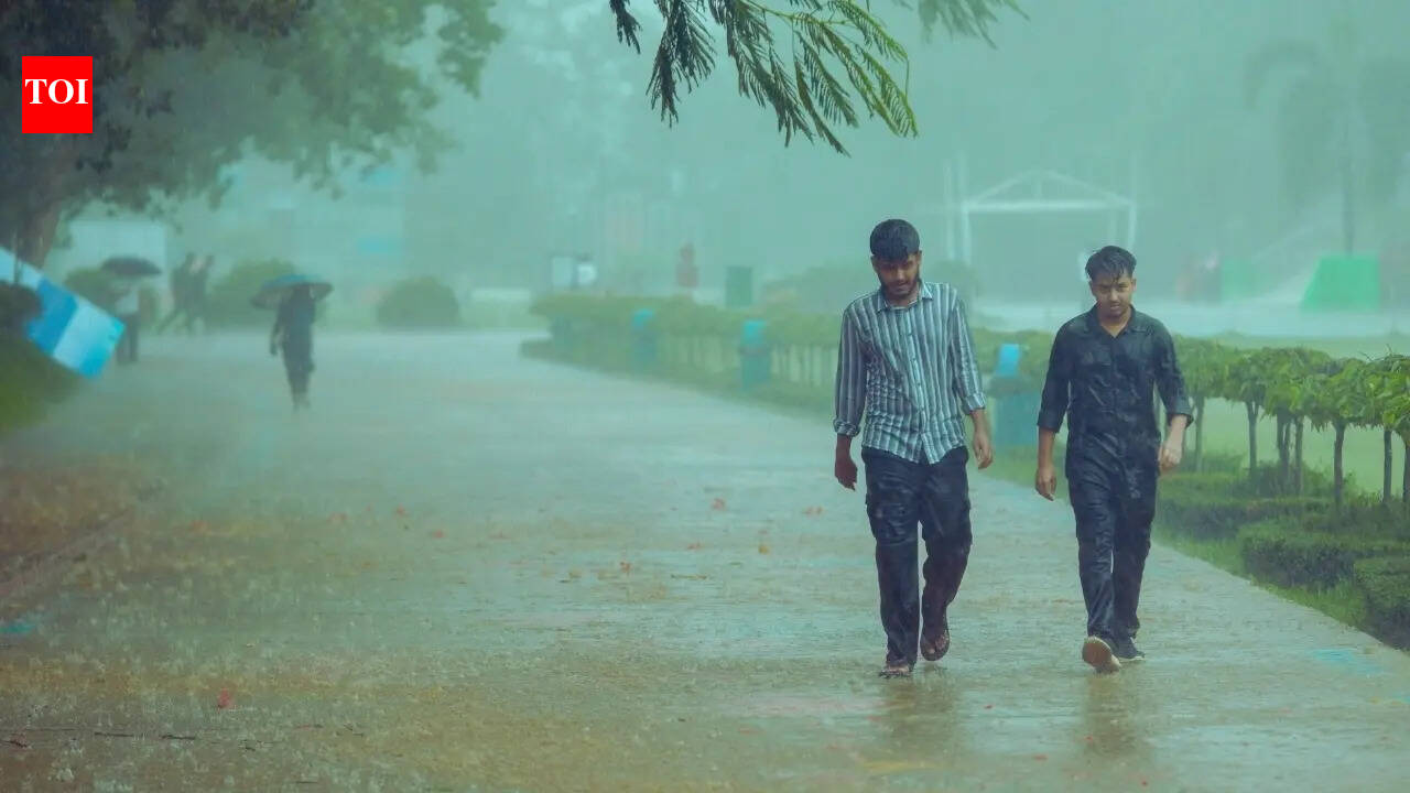 Read more about the article IMD warns of severe thunderstorms, hailstorms and travel disruptions across India; dust storms and hail i – The Times of India