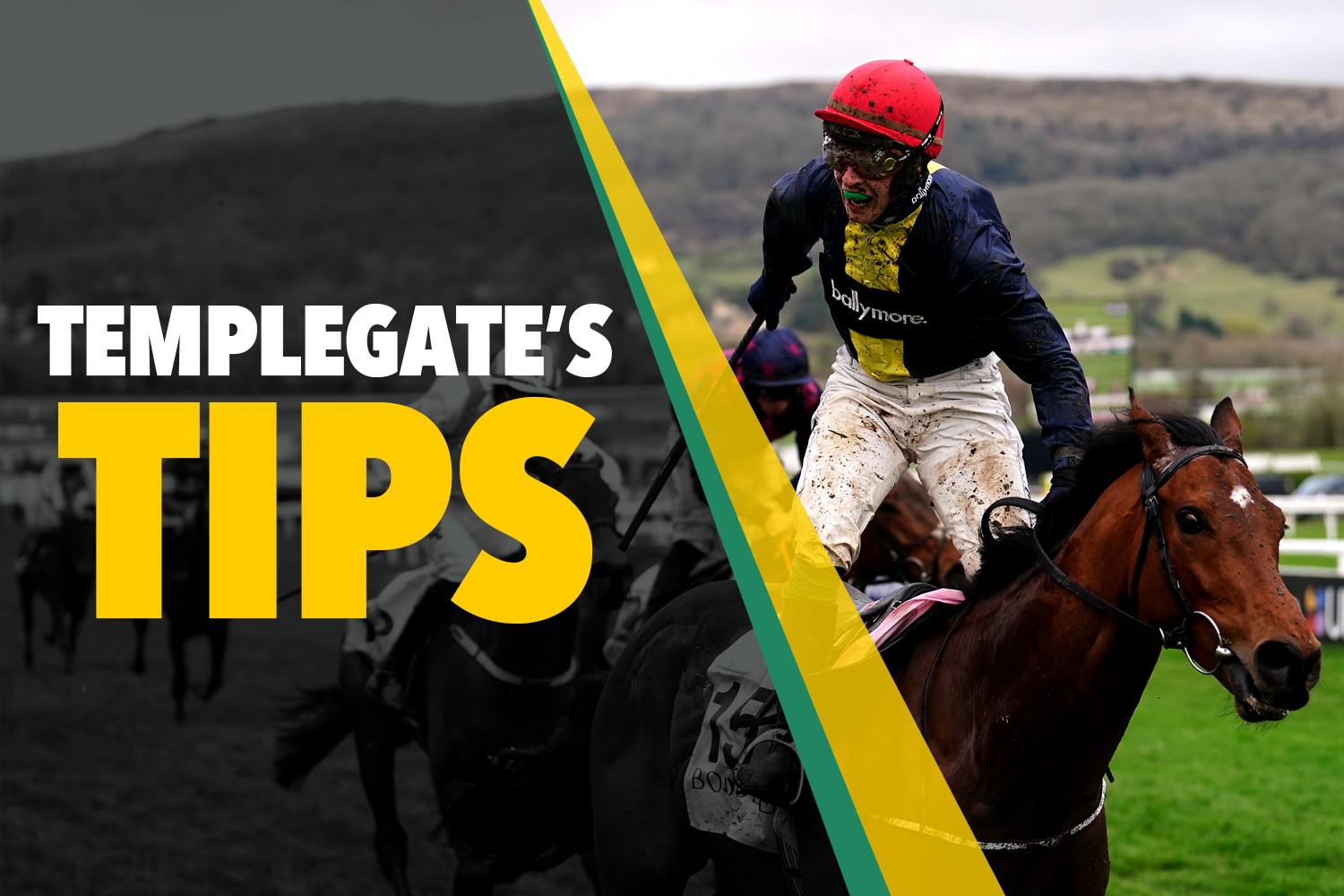 Read more about the article 'This will be the start of a winning run' – Templegate's Tuesday NAP – The Sun