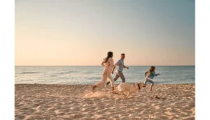 Read more about the article Ceva Animal Health offers pet travel tips for summer – Travel Daily Media