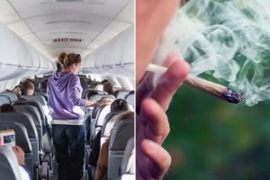 Read more about the article Flying with cannabis? TSA’s new guidance comes with a major health warning – New York Post