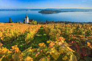 Read more about the article The landlocked European country with a captivating new cruise – The Times