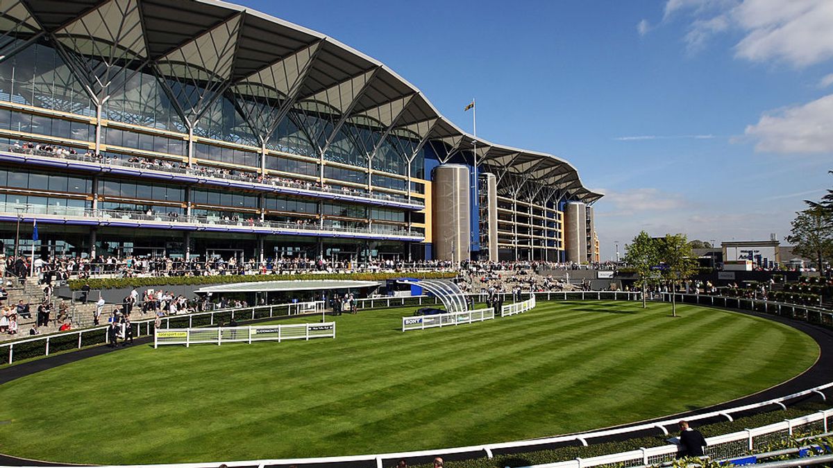 Read more about the article Royal Ascot tips: Tuesday's best bets for EVERY race from our top tipster Newsboy – The Mirror
