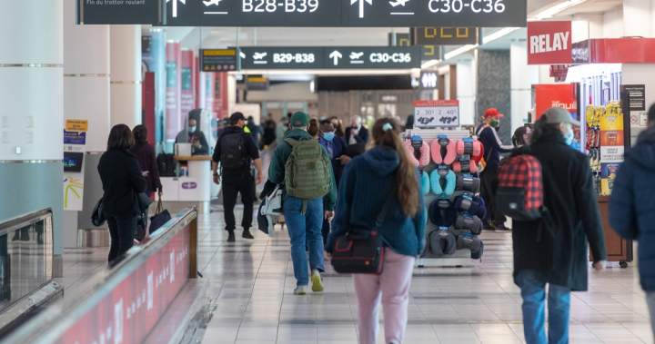 You are currently viewing Canadian travel to U.S. tanked 24% in late 2025 from year before: data – Global News