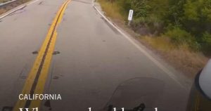 Read more about the article Why you should road trip up the California coast – Los Angeles Times