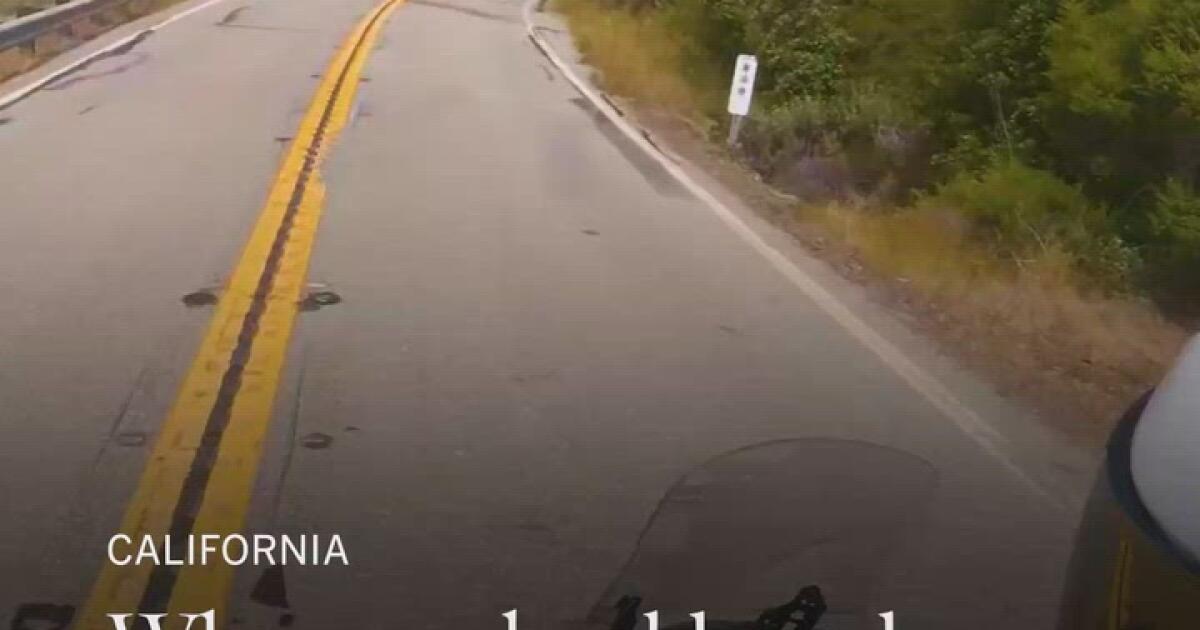 Read more about the article Why you should road trip up the California coast – Los Angeles Times